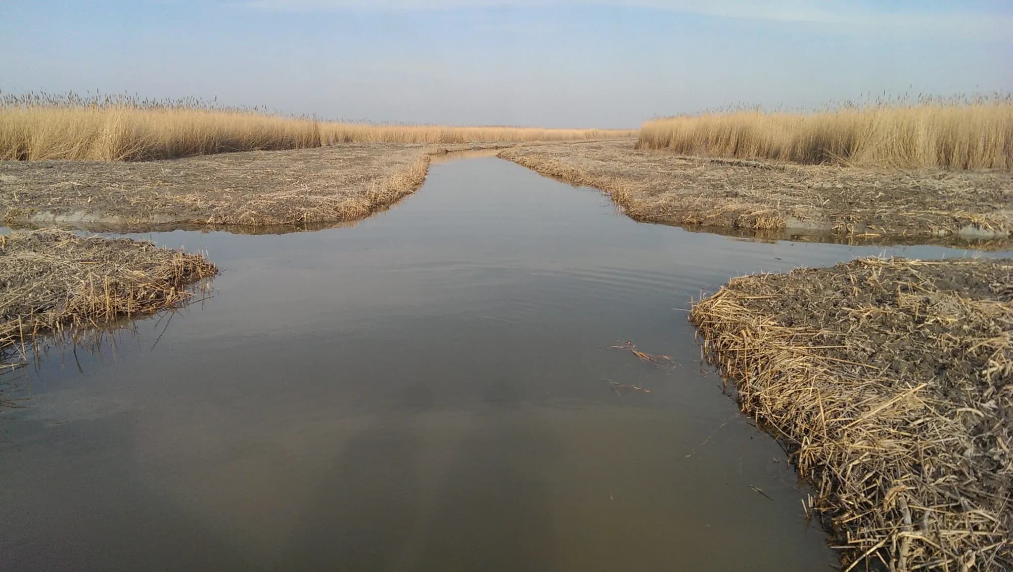 2014 – Fertő tó rekonstrukció